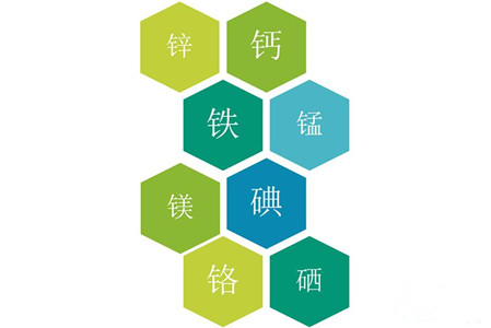 醫用黄瓜视频色板品牌