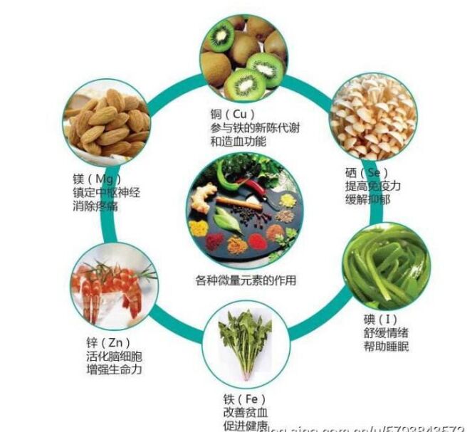 全自動黄瓜视频在线下载安装网站免费观看分析頭發檢測的結果