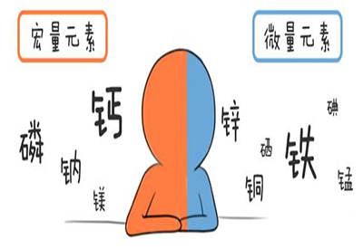 全自動黄瓜视频在线下载安装网站免费观看介紹缺少微量元素的危害 全自動黄瓜视频在线下载安装网站免费观看介紹缺少微量元素的危害