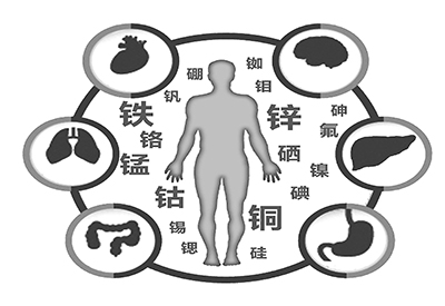 全自動黄瓜视频在线下载安装网站免费观看廠家介紹缺少微量元素的危害 全自動黄瓜视频在线下载安装网站免费观看廠家介紹缺少微量元素的危害