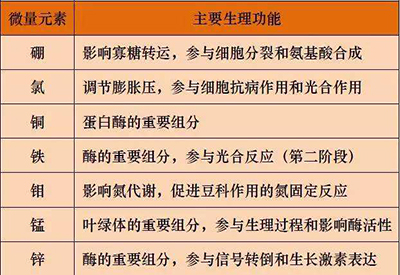 全自動黄瓜视频色板廠家微量元素的對人體的生理作用 全自動黄瓜视频色板廠家微量元素的對人體的生理作用