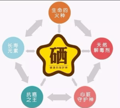 素分析儀,醫用黄瓜视频在线下载安装网站免费观看,人體微